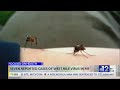 Mississippi reports seven human cases of West Nile Virus
