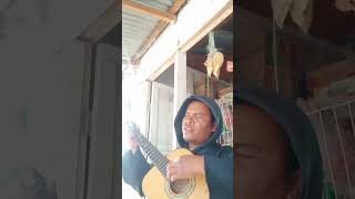 Download lagu jantung hatiku   TIPE X  #music  #lagu mp3