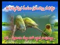 NETRA DHANAM