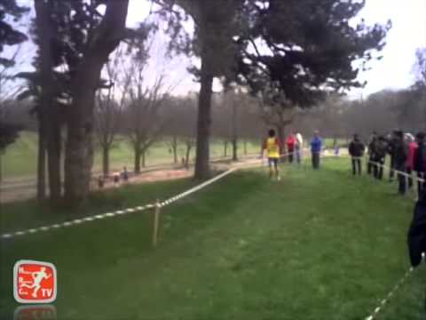 Parco di Monza 28°Cross Brianzolo