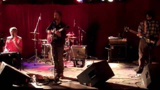 Dinosaur Feathers -- Vendela Vida