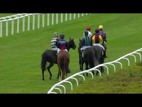 Renntag 4 - Franz-Günther von Gaertner-Gedächnisrennen