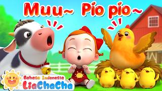 Download lagu Hewan-Hewan Bernyanyi Bersama!🎶🐮🐔| Lagu Hewan | Lagu Anak-anak Seru |  LiaChaCha Bahasa Indonesia mp3