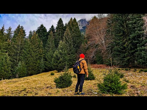 Unique Europe Mountains in Piatra Craiului, Southern Carpathians, Romania | Relaxing Silent Hiking