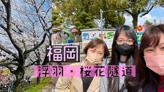 [遊記] 福岡縣浮羽流川櫻並木・櫻花隧道一日遊