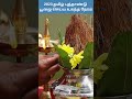 14 04 2023 2023 தமிழ் புத்தாண்டு பூஜை செய்ய உக�