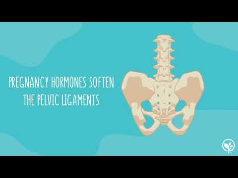 How pregnancy changes your pelvis