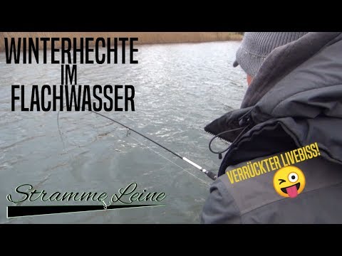 Auf HECHT im FLACHWASSER - ANGELN mit KUNSTKÖDERN im WINTER