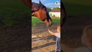 These Animals Look Angry But They’re Actually Not || #animalexpressions #funnyanimals #misunderstood