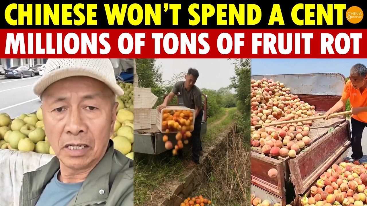 Millions of Fruit Farmers Weep! Chinese Won’t Spend a Cent, Millions of Tons Rot in Fields