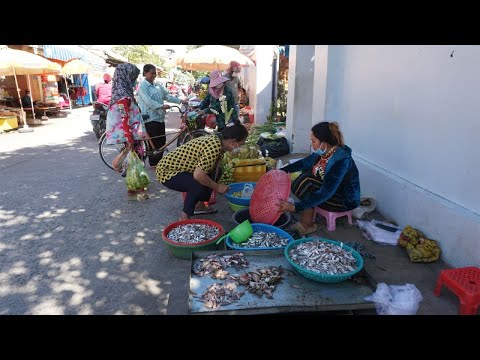 Phsa Takhmao Thmey Morning Show - Walk Around Street Food @Takhmao Market