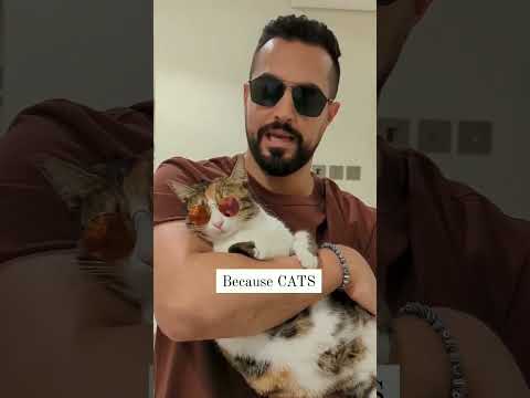 #cats #superior to dogs🫢🫣😁😂