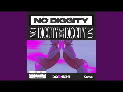 No Diggity