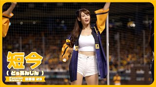 感動黃潮 短今 Passion Sisters 中信兄弟啦啦隊  臺北大巨蛋  2024/10/20【台湾チアTV】