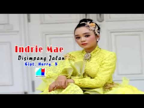 Indri Mae - Disimpang Jalan (Official Music Video)