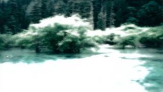 Arc Of Doves - Introducing