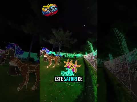 LO QUE FUE EL ALUMBRADO DE SOPÓ 2025 | ¿Valió la pena? ✨ #shorts