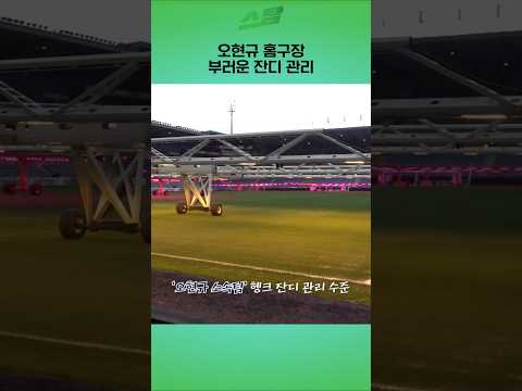 오현규 홈구장 부러운 잔디 관리