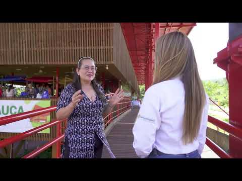 Camino al Suroeste - 20 de diciembre de 2024