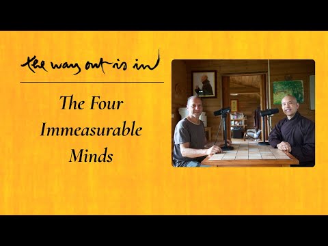 The Four Immeasurable Minds | TWOII podcast | Episode 88