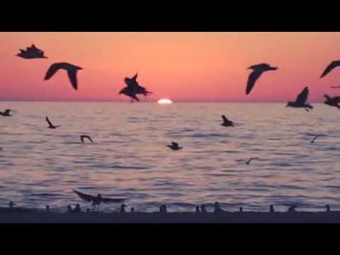 Cristi Chelsoi - Good Night Riddim