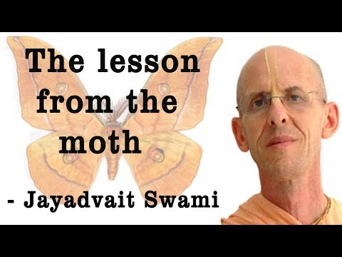 Jayadvaita Swami Lecture on The Lesson From The Moth at ISKCON Chowpatty on 1st April 2018