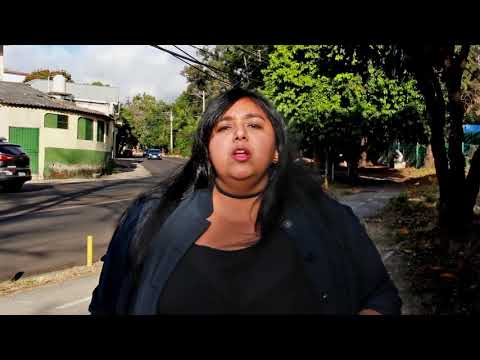 Symei Flores,casilla #12 frp-libre