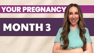 You're 3 Months Pregnant! Baby's Development Week By Week!