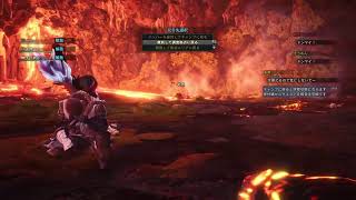 MHW お手伝い係