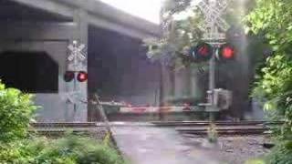preview picture of video 'NJ TRANSIT PASSES OVER THE LEVEL CROSSING NEAR RADBURN Part 2'
