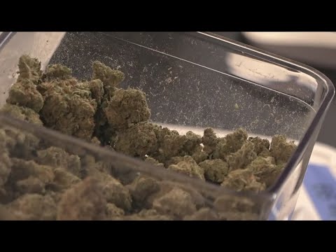 San Diego leaders propose new licensing rules for untaxed ...