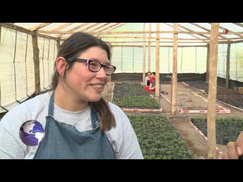 CAPyCLO cedió terrenos para la inclusión