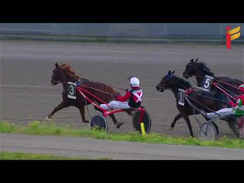 III Corsa del 21 Gennaio 2022 - 3 Anni - Metri 2000