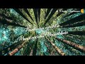 Sutta Suriyana Sarvam WhatsApp Love Status Song