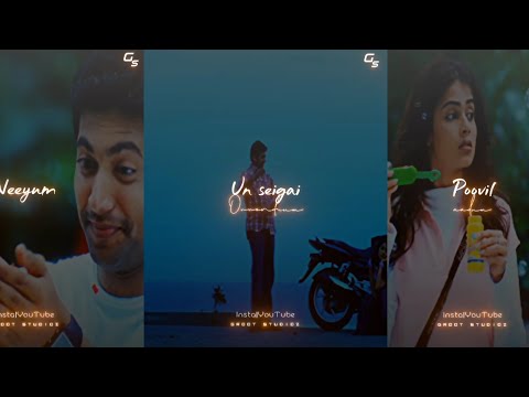 Tamil Whatsapp Status Video Love Song New 💞 2021 Love Whatsapp Status Tamil 💞 Feeling Song Tamil