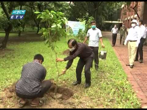 জাতির পিতার জন্মশতবার্ষিকী অর্থবহ করতে বনজ সম্পদ বৃদ্ধির আহ্বান | ETV News