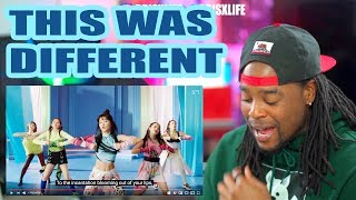 Download lagu Red Velvet 레드벨벳 '짐살라빔 (Zimzalabim)' MV | Comeback Reaction!!! mp3 Download lagu Red Velvet 레드벨벳 '짐살라빔 (Zimzalabim)' MV | Comeback Reaction!!! mp3