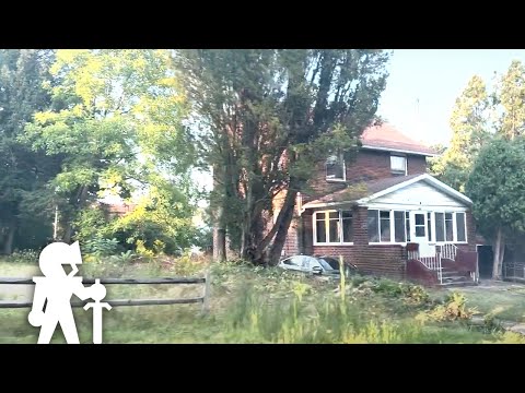 video_2 screenshot video_2 screenshot