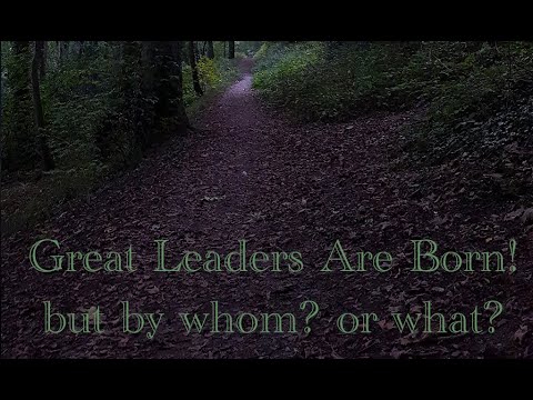 Great leaders are born not made! Ep 3: WiWP