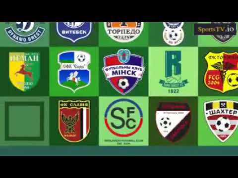 FC Belshina Bobruisk - FC Shakhter Soligorsk 0 - 4 goal