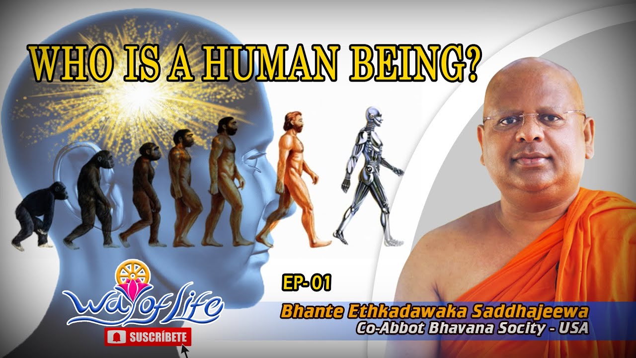 Who is a human being? Learn to see Life through Buddhist philosophy.