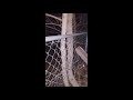 Skinwalker scream caught on camera?