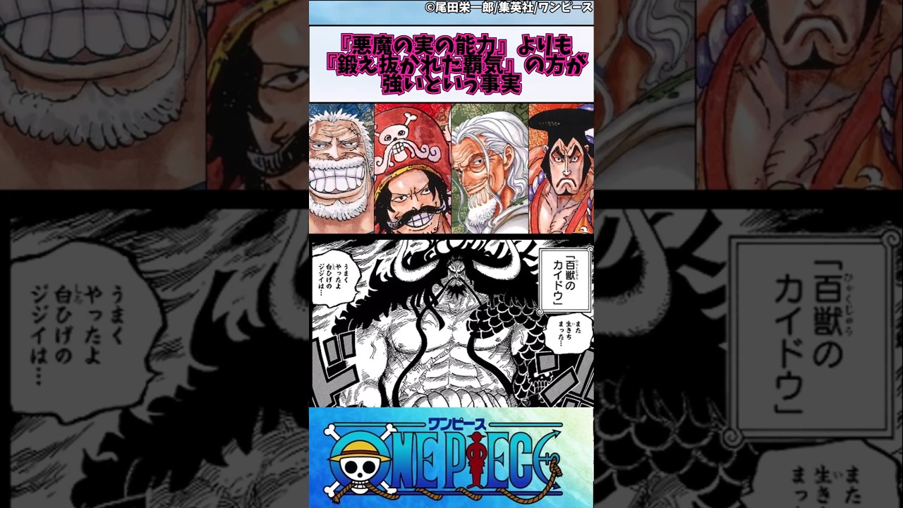 【ワンピース】『悪魔の実の能力』よりも『鍛え抜かれた覇気』の方が強いという事実#shorts