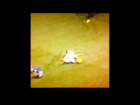 #funny moment Leeds United Midfielder Adryan Produces Biggest Overreaction to a Tackle Ever
