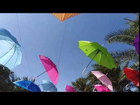 Umbrella hanging on the sky and flying with the wind for Flowers Festival at Khon Kaen, Thailand.