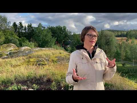 Stenbergan linnavuori, Masku (Varsinais-Suomi)