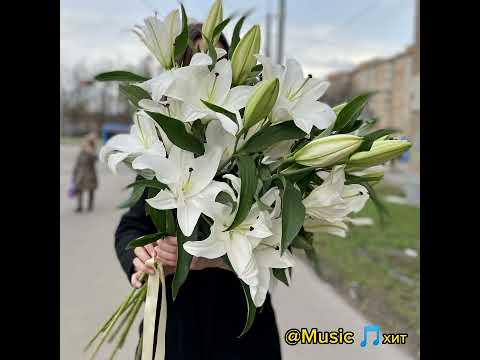 Мот, Jony - Лилия