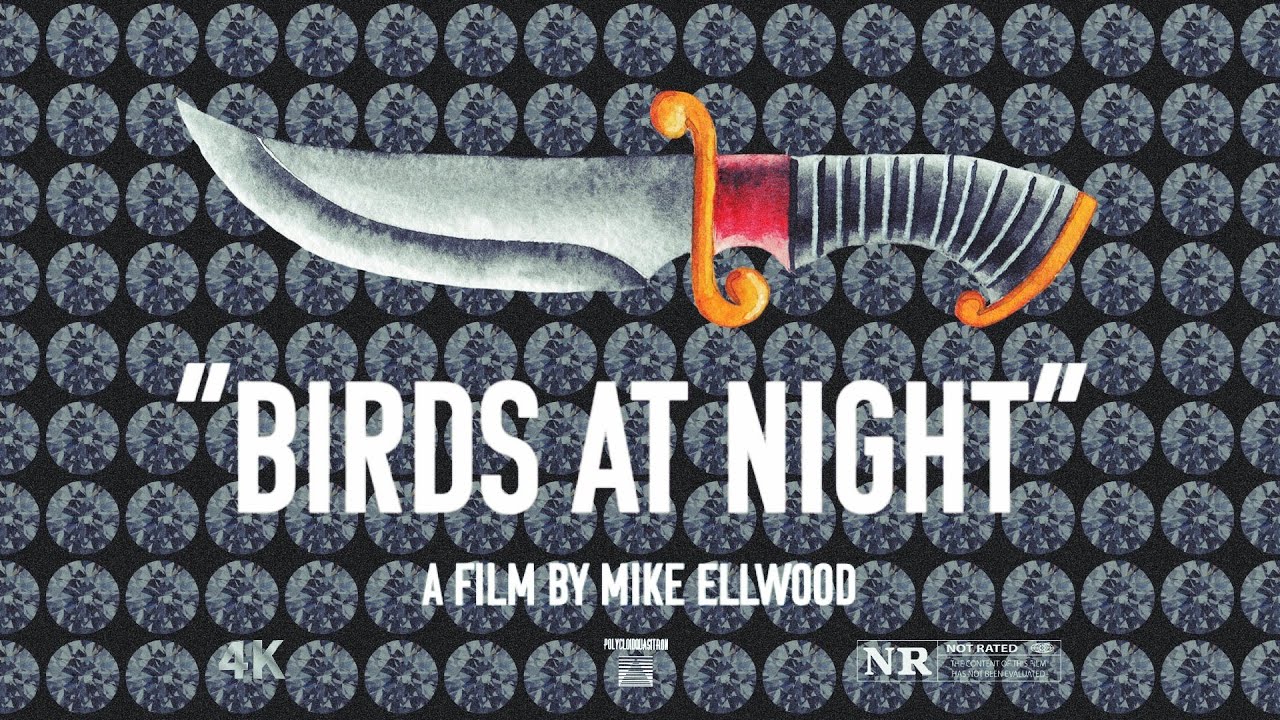 TRAILER | Birds at Night | a film by Mike Ellwood