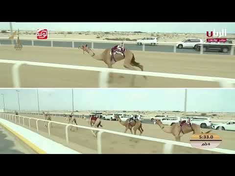  ش 1 (عسيلة) لـ هجن الشحانية 9:05:73 , مهرجان المؤسس 2025/12/15 ايذاع  