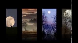 John Adorney -  Moonbird